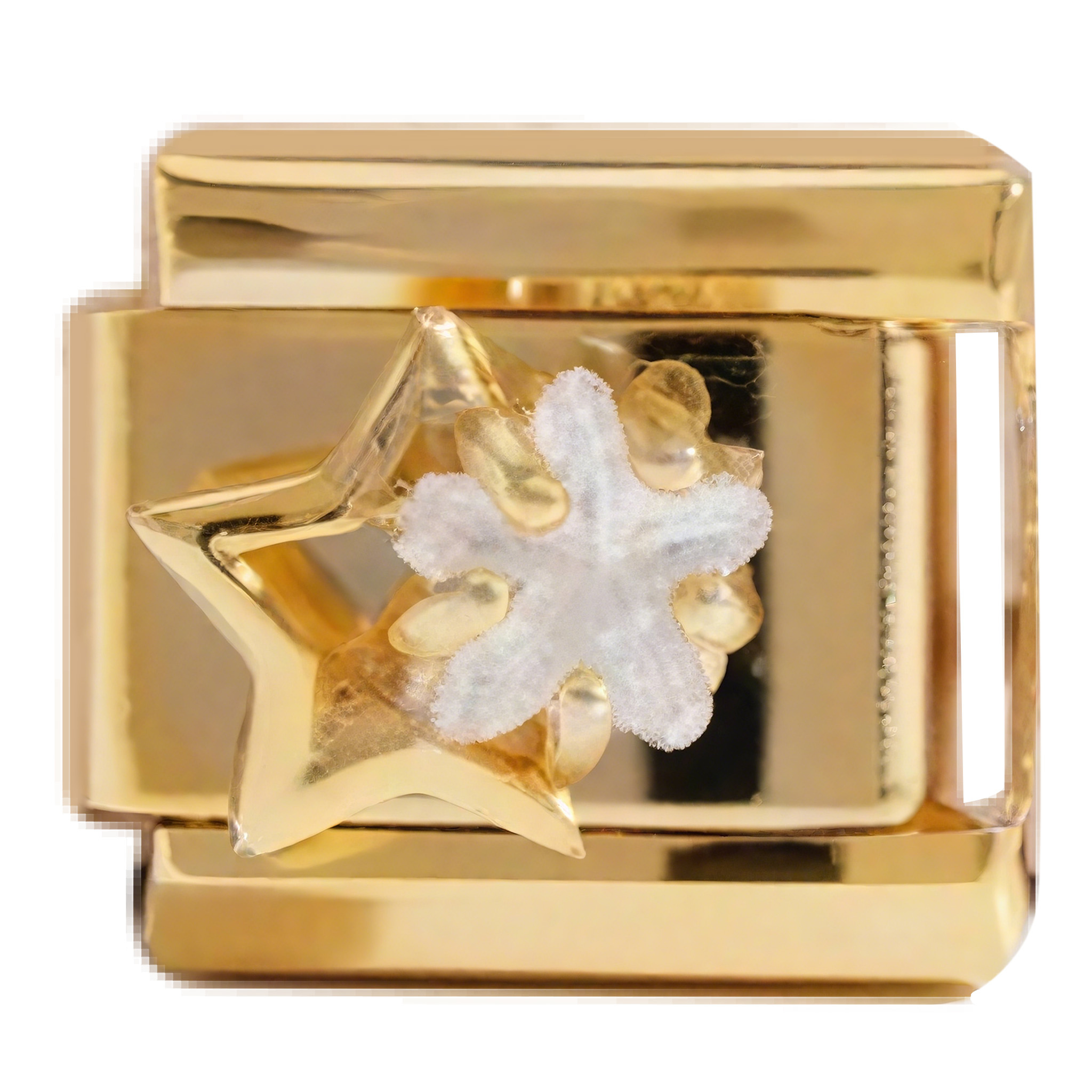 Gold Star Charm